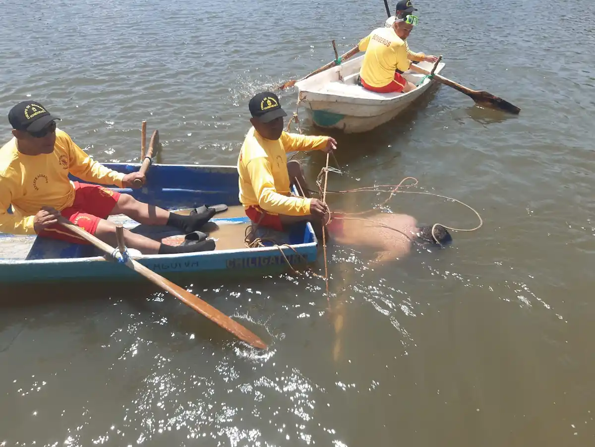 Van 15 Muertos Por Ahogamiento Durante Semana Santa En Honduras